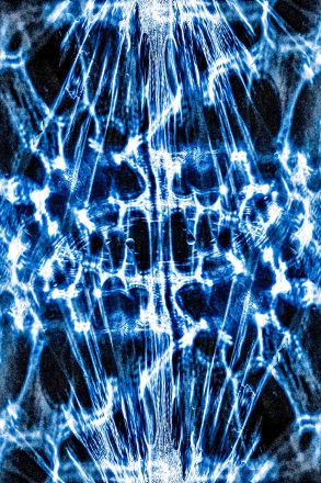 Dyplom 1 Jakub Franka