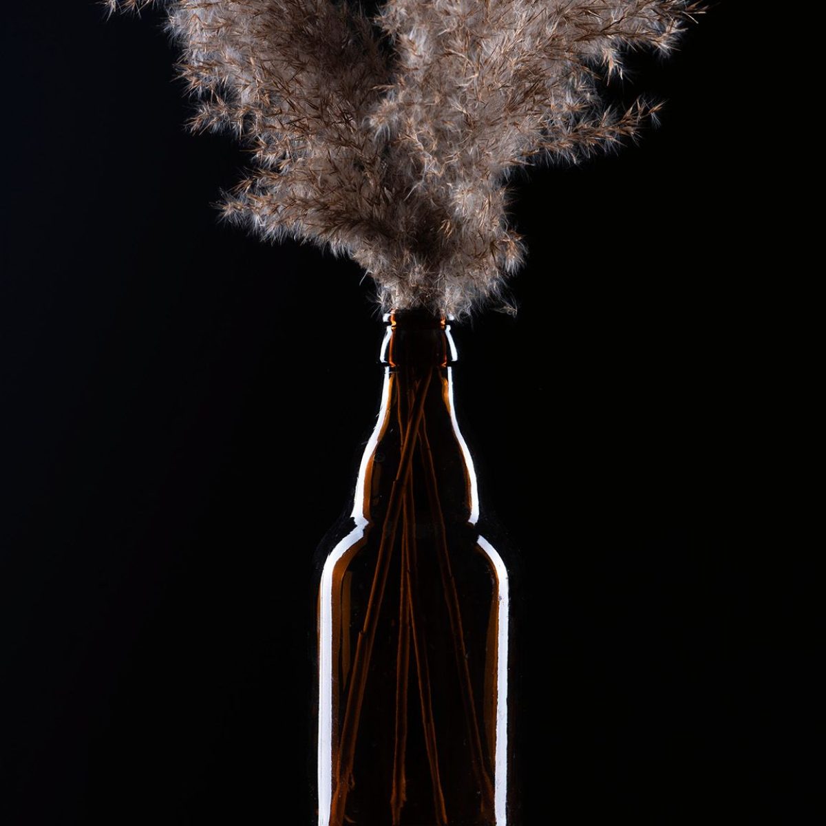 Zdjęcie z zajęć praktycznych w szkole AFA