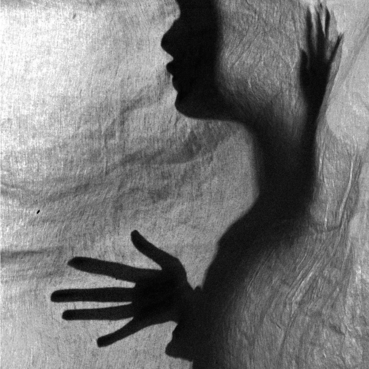 Portret. Zdjęcie z zajęć praktycznych w szkole AFA