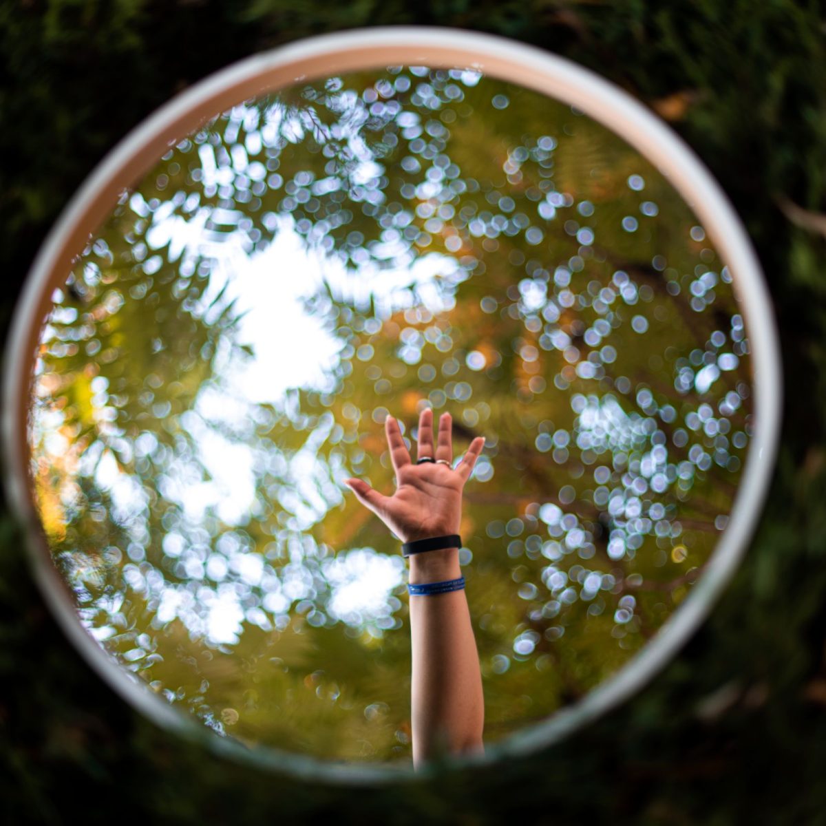 Plener fotograficzny w szkole AFA
